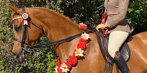 South West Group Spring Show