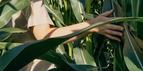 meditation - nature - community