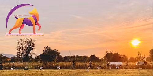 Stage con Silvia Nitrato Izzo e Davide Battaglia