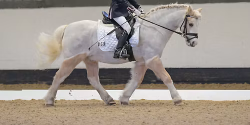 British Dressage - Quest