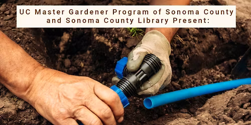 Installing and Operating a Drip Watering System