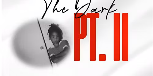 Developed In The Dark pt. II