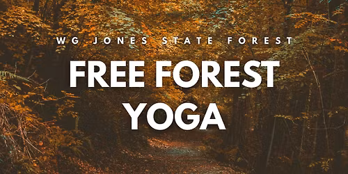 FREE Forest Yoga at WG Jones State Forest