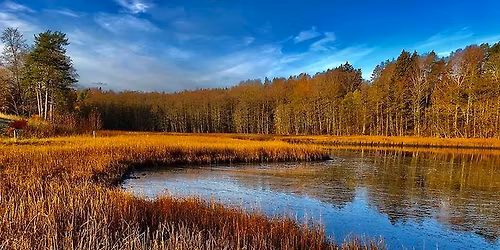 Fugletrekk p\u00e5 Br\u00f8nn\u00f8ya