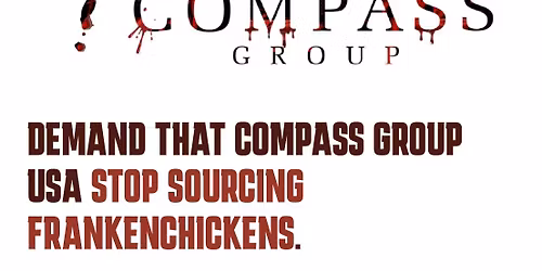 PROTEST FRANKENCHICKENS AT CRYPTO AT THE ROD WAVE CONCERT