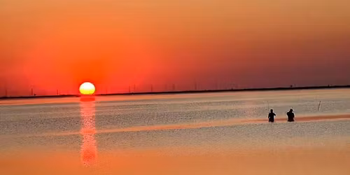 Community Thanksgiving Dinner