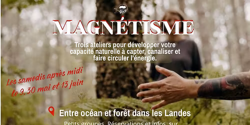 R\u00e9veiller son magn\u00e9tisme 