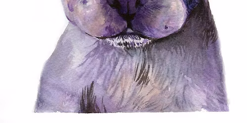 Paint Your Pet in Watercolor with Instructor Hannah Complin