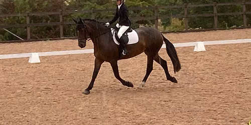 Lakes Riding Club Dressage Championship 