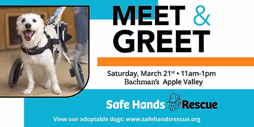 Safe Hands Rescue Meet & Greet at Bachman's Apple Valley