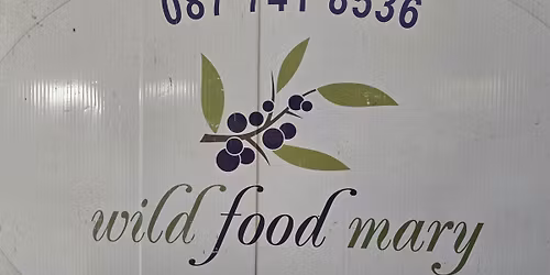 Portumna Wild Food Mary Workshop