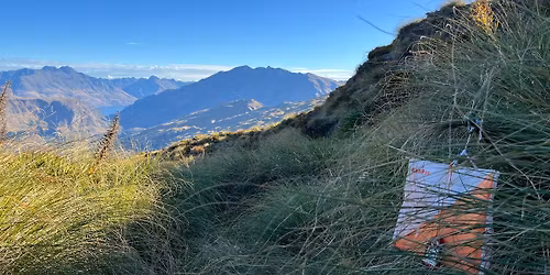 Coronet Peak Rogaine Series + Dogaine