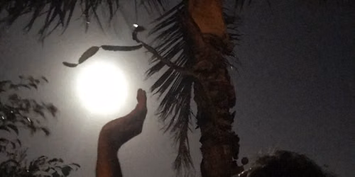 Sagittarius Full Moon Release Sound, Frequency & Gong Therapy Release