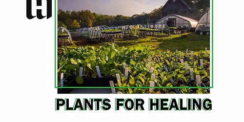 Plants for Healing and the Art of Saya Woolfalk at Crabtree Farms 