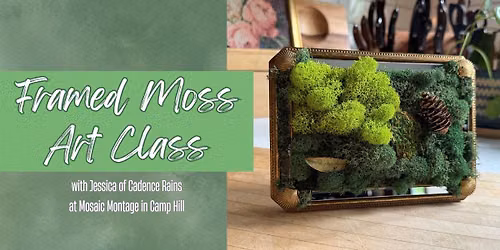 Intro to Biophilia: Make a Moss-terpiece