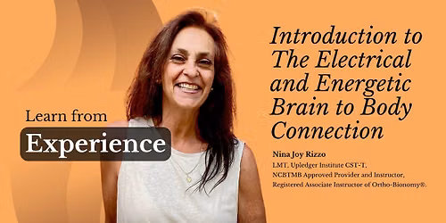 Introduction to The Electrical & Energetic Brain to Body Connection
