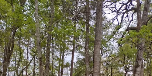 Salty Jeepers Meet and Greet