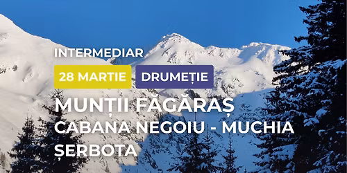 Drume\u021bie intermediar: Mun\u021bii F\u0103g\u0103ra\u0219, Cabana Negoiu \u0219i Muchia \u0218erbota