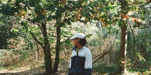 Pierre Gis\u00e8le \/ f \/ chanson pop