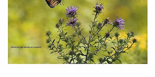 Frederick County Master Gardeners: The Language of Flowers