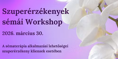 Szuper\u00e9rz\u00e9kenyek s\u00e9m\u00e1i Workshop