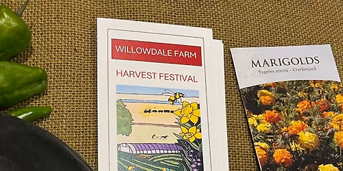 Harvest Festival