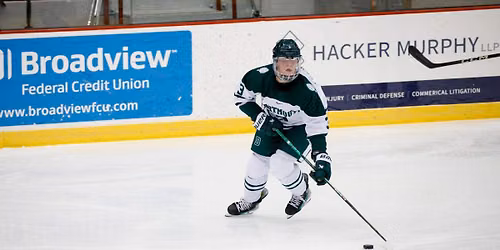 RPI Engineers at Dartmouth Big Green Womens Hockey