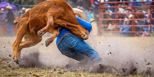 Bullride Mania