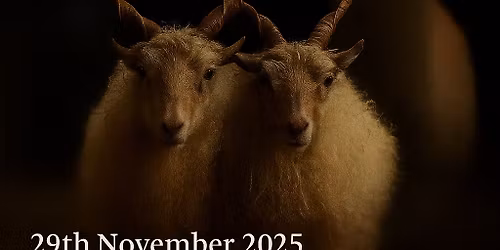 The Rare & Minority Breed Sale 