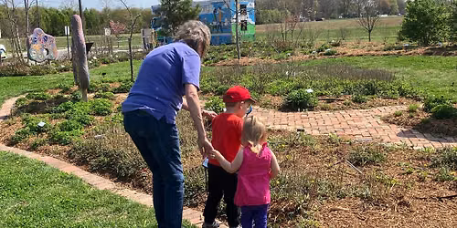 Tots in the Front Yard: Easy Peasy Tree and Flower Identification
