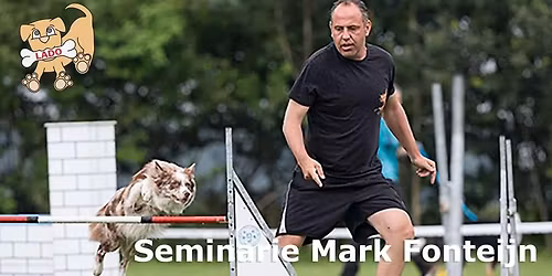 Seminarie Mark Fonteijn