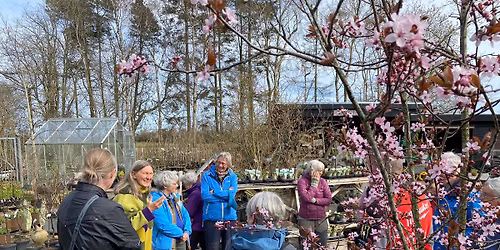 S\u00e6son\u00e5bning og fernisering p\u00e5 Naturplanteskolen 2026