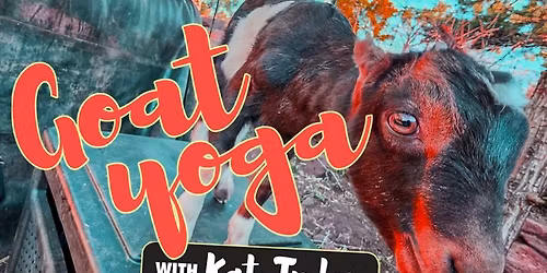 Goat Yoga w\/ Kat Tudor