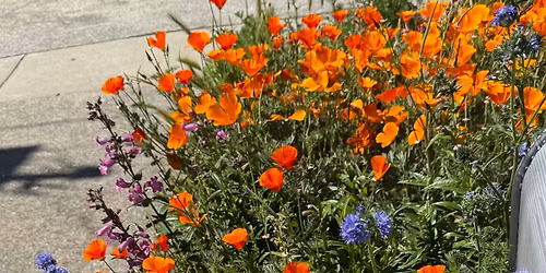 Pay What You Can Day - one day only.