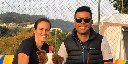 Workshops! International handling to puppy levels!