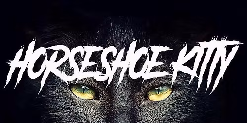 Horseshoe Kitty performing LIVE at Bamboo Willie\u2019s!