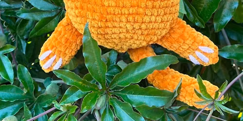 Crochet 'Pancake' the flat cat workshop
