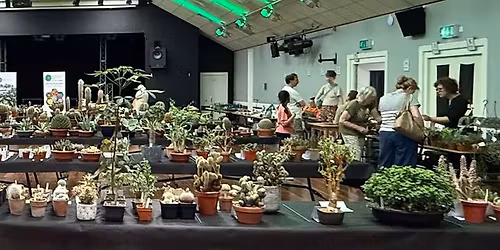 Wiltshire Branch Cactus & Succulent Show