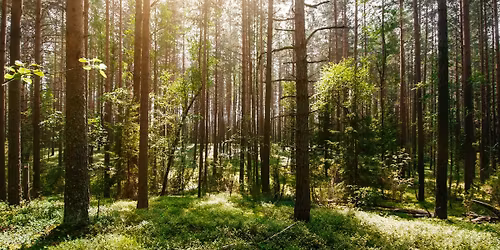 Ecological Systems\/Processes - TEK STEM | Lunch & Learn Series