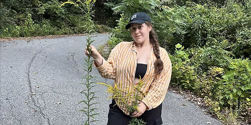 Freshkills Park: Edible Plant Walk with Kwynn Hogan