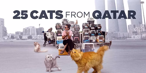 25 Cats From Qatar Screening Benefiting Olympia Paws 4 A Cause
