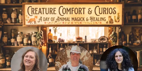 Creature Comfort and Curio