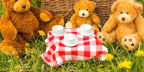 TEDDY BEARS PICNIC FUN AFTERNOON 