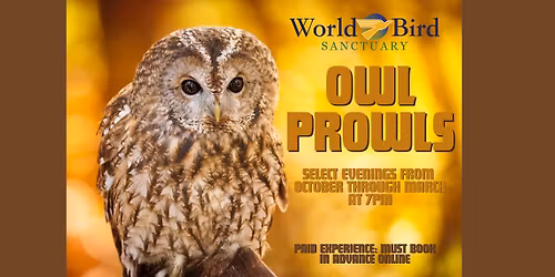 Owl Prowl