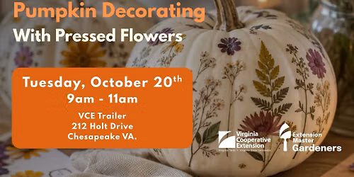 Fall Pumpkin Decorating Workshop