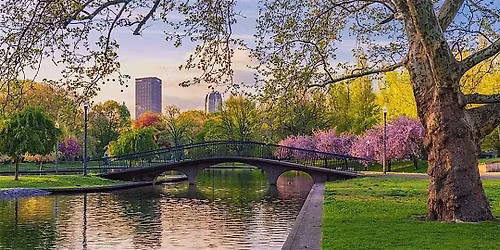 Beginner Tree Identification Walk at Allegheny Commons