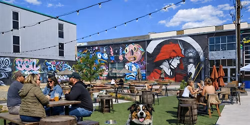 Denver Dog Crawl sponsored by Sploot!