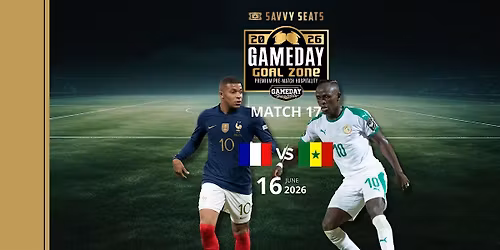 France vs Senegal Game Day Goal Zone by Savvy Seats