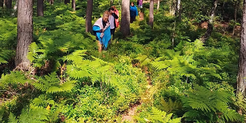 Bor\u016fvkov\u00e9 putov\u00e1n\u00ed v p\u0159\u00edrod\u011b