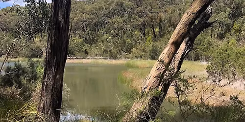 Public Guided Walk - OT Dam